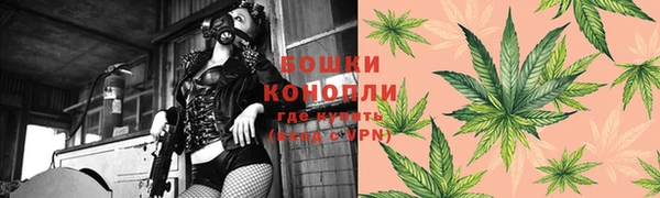 каннабис Гусиноозёрск