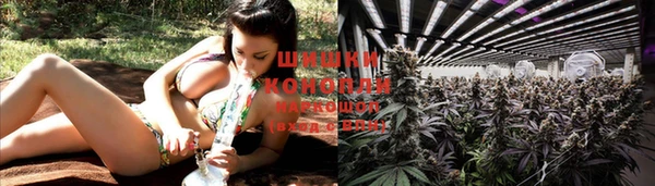 каннабис Гусиноозёрск